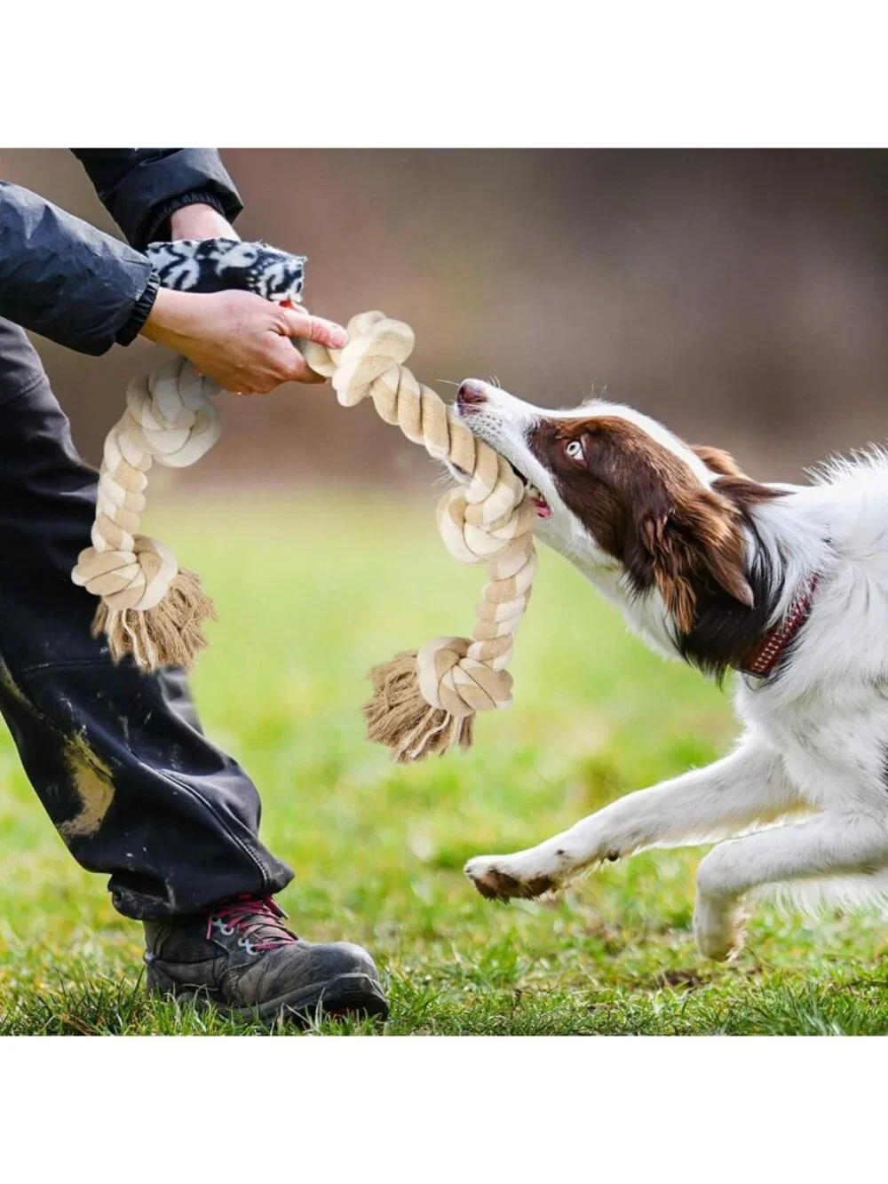 Durable Dog Rope Toy for Large Aggressive Chewers - 3ft Tug & Chew, Teeth